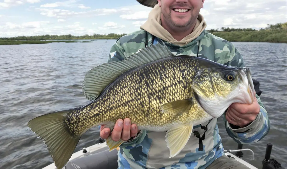 Melhores horas do dia para pesca de tucunaré