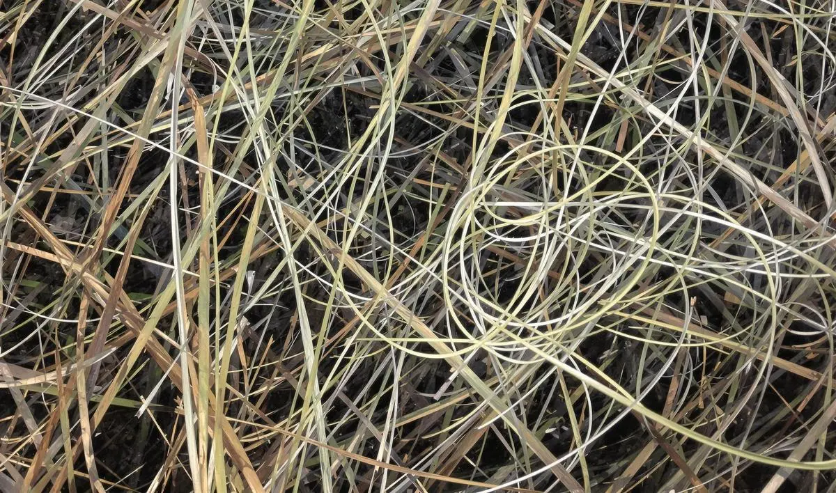 Nó de Albright: Conectando Linhas de Diferentes Diâmetros