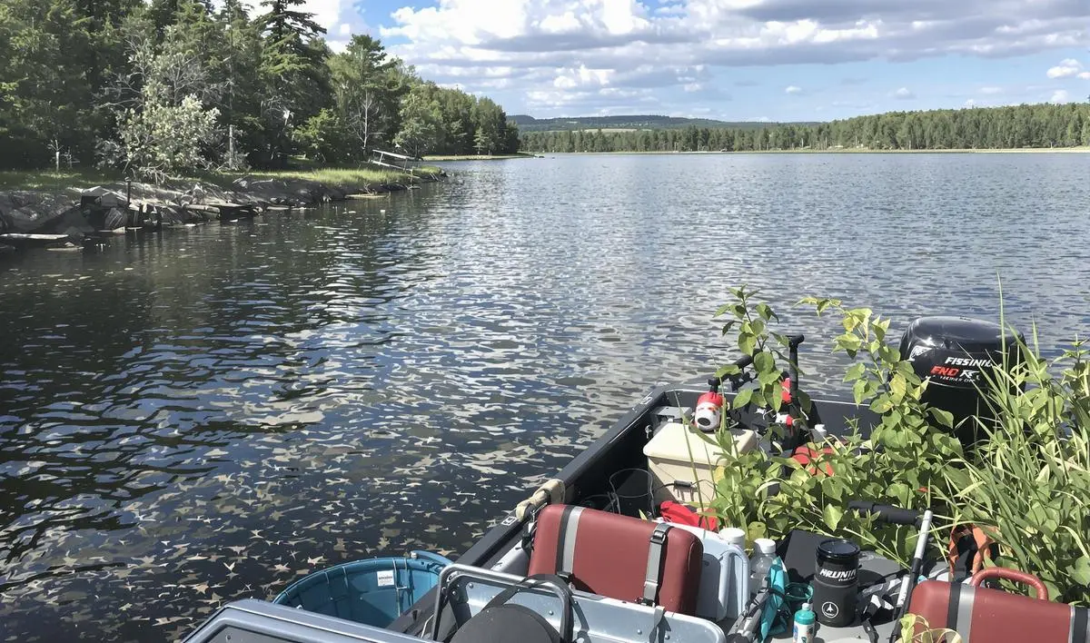 Organizando o seu Acampamento de Pesca: Passo a Passo