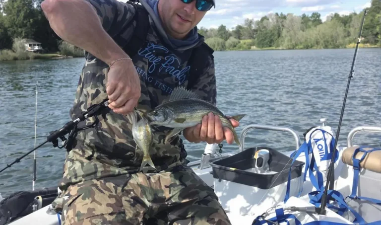 Pesca com isca viva: o que usar em cada situação