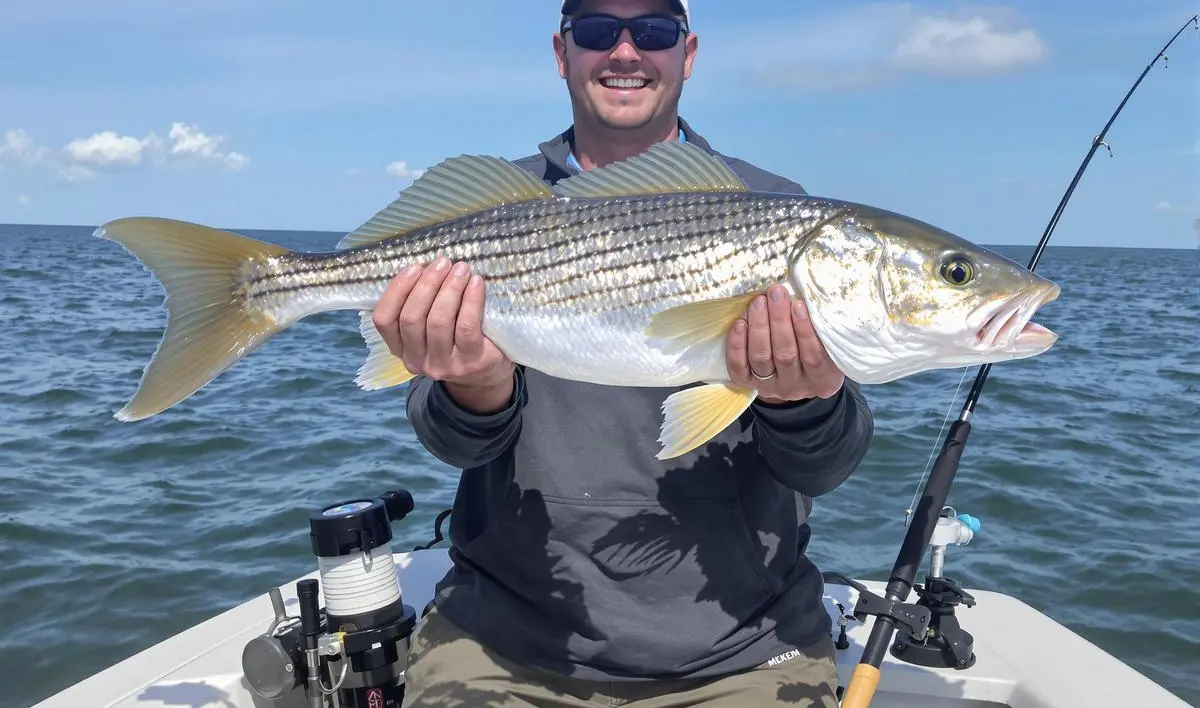 Pesca com Iscas Naturais para Robalo