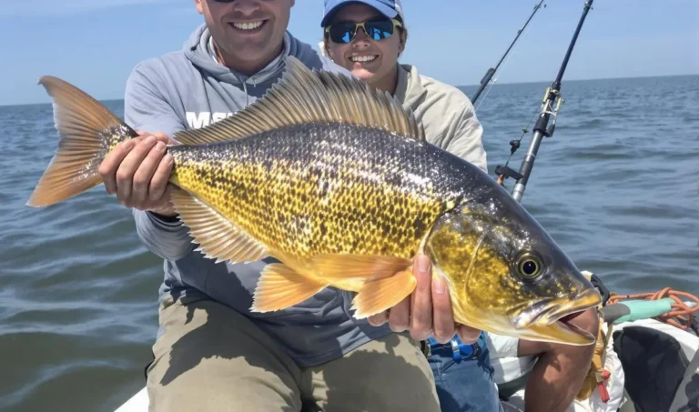 Pesca de peixes exóticos: desafios e cuidados