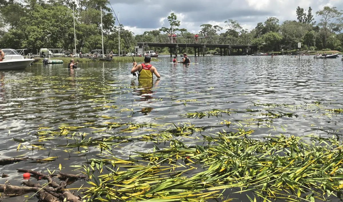Pesca de pirarucu com isca de peixe em lagos de pesca