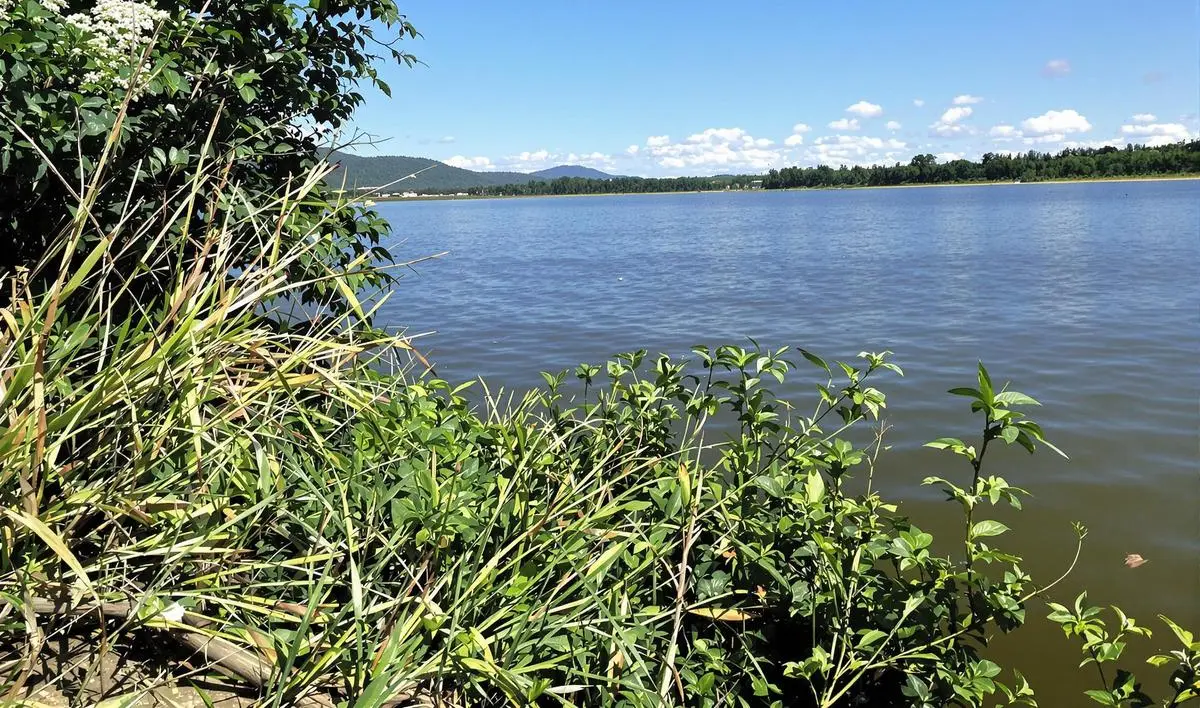 Práticas para uma Pesca Responsável