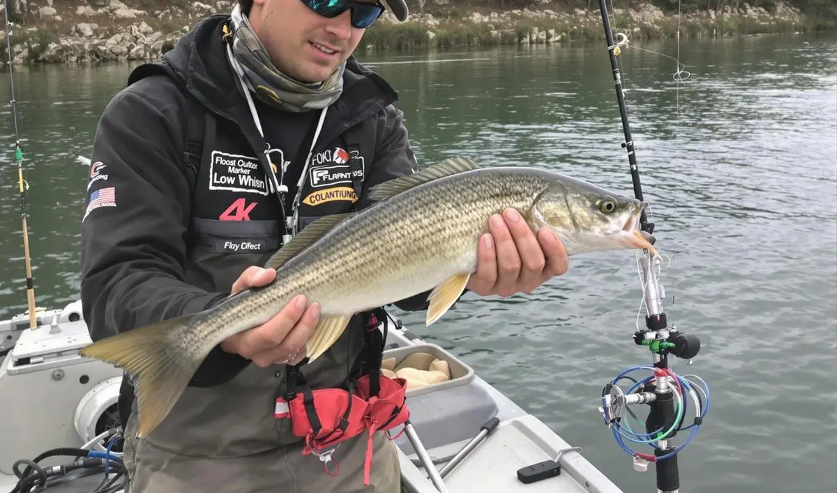 Técnica de Fisgada na Pesca com Boia