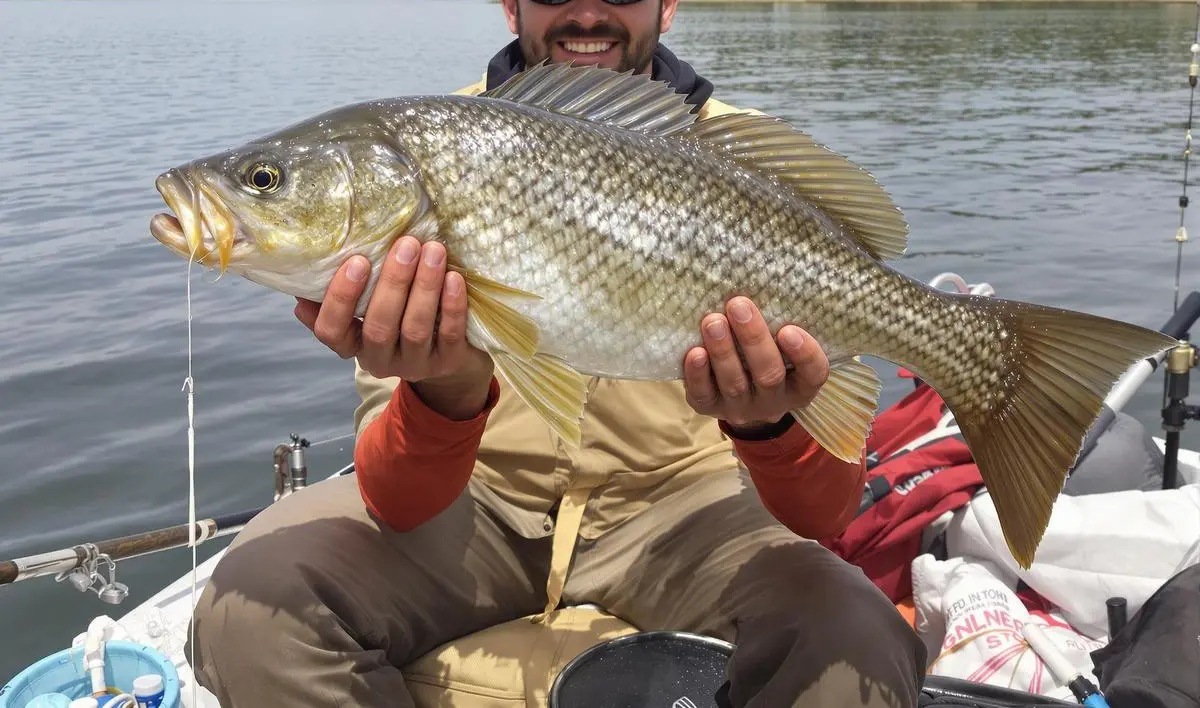 Técnicas de Pesca do Pirarucu com Isca Natural