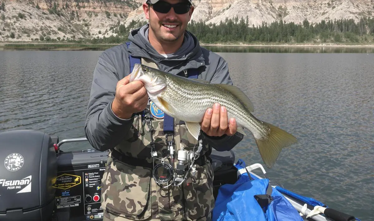 Técnicas de Pesca Eficazes para Grandes Reservatórios