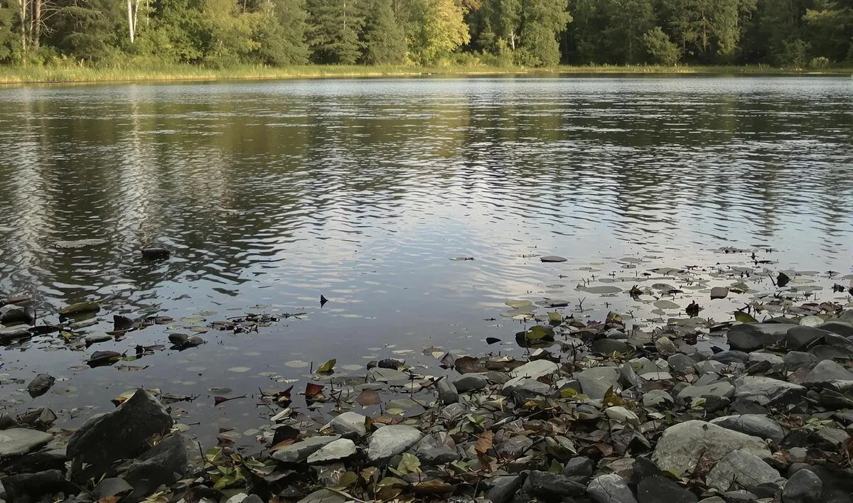 Técnicas de pesca em lagos profundos