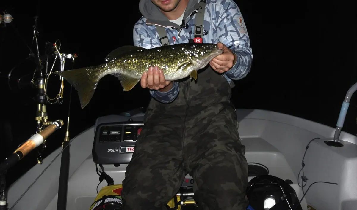 Técnicas de Pesca Noturna: Dominando o Escuro