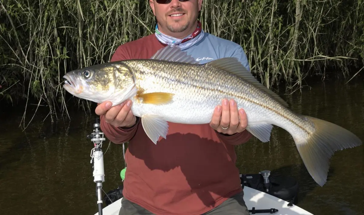 Técnicas de Pesca para Robalo em Estuários