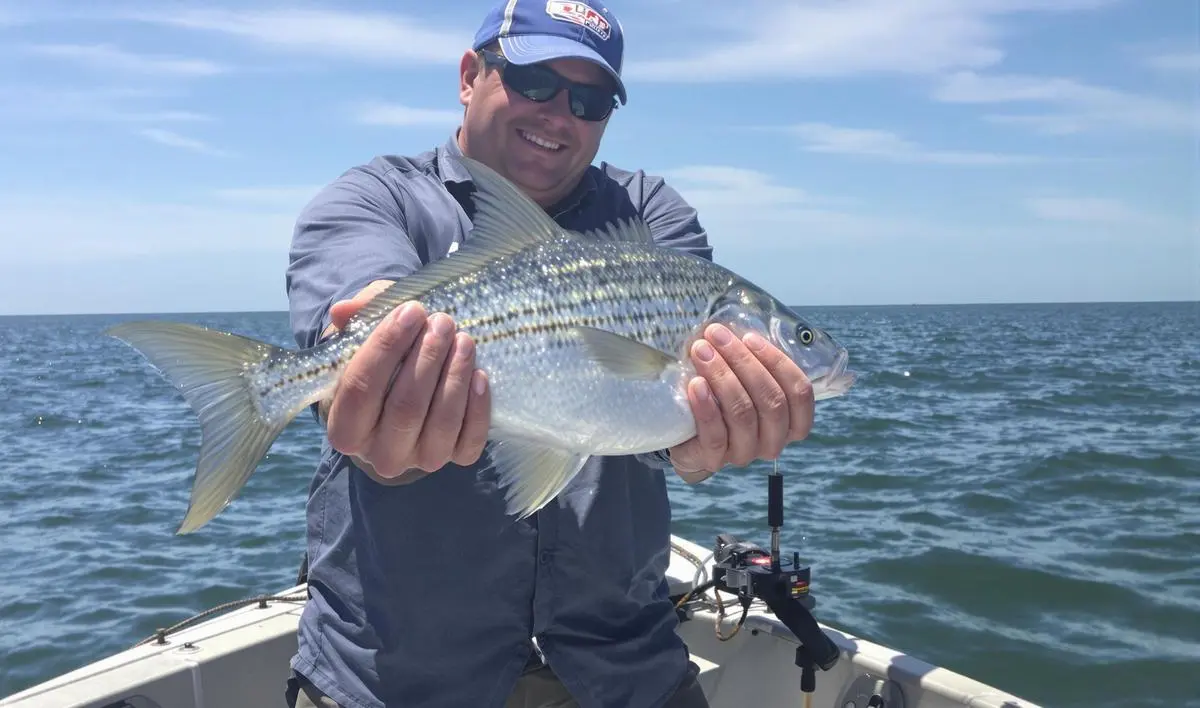 Tecnologia CHIRP: Aprimorando a Detecção de Peixes