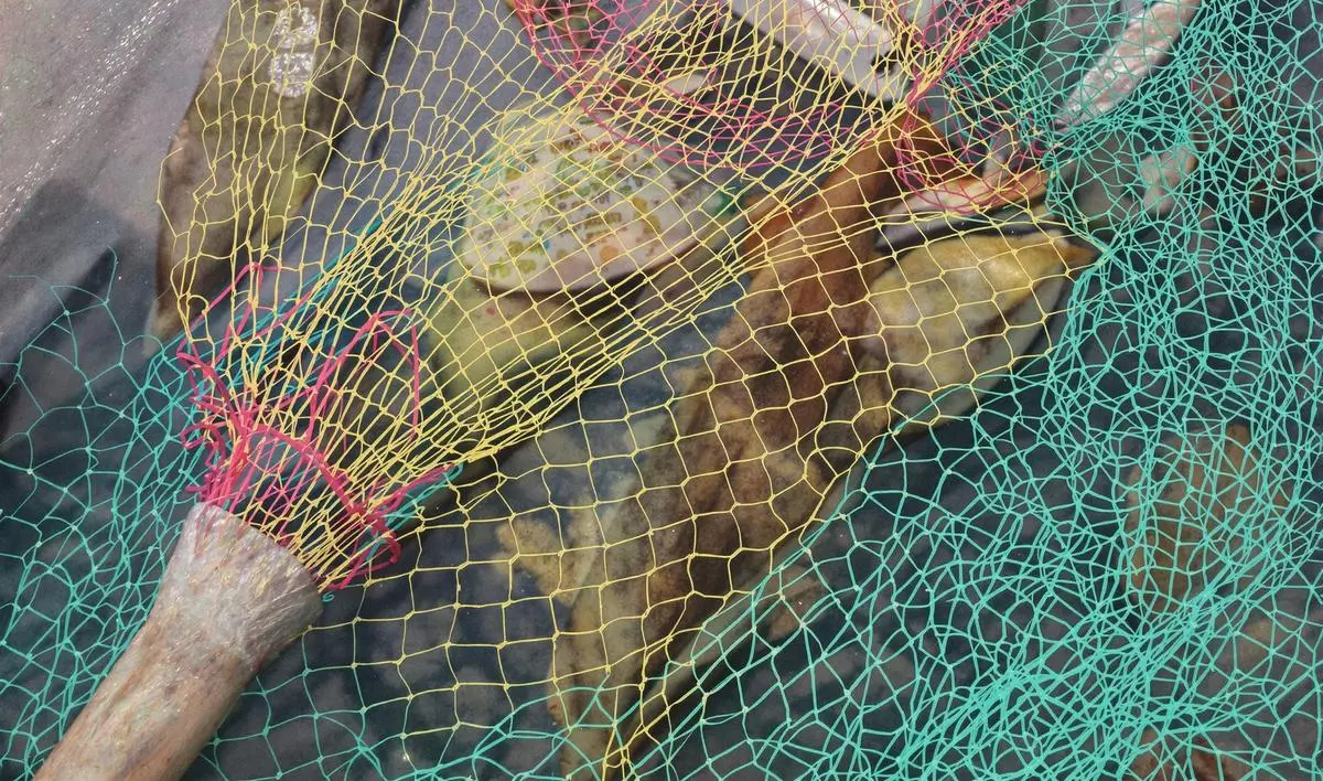 Tecnologia e Inovação para uma Pesca Sustentável