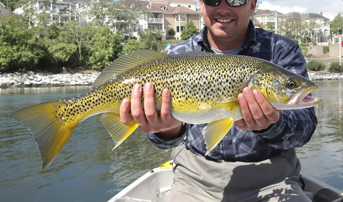 Tipos de Iscas para Atrair Peixes em Águas Claras