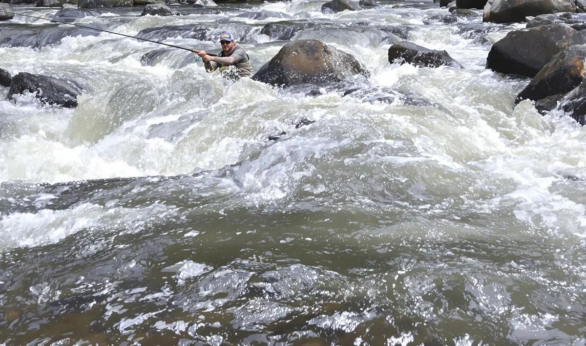 Traíras: Emboscadas e Surpresas em Águas Rápidas