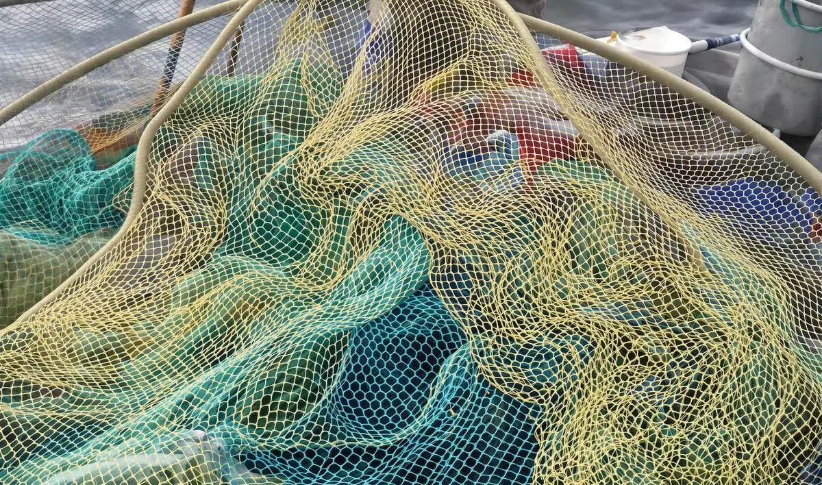 Treinamento e Educação para Pescadores