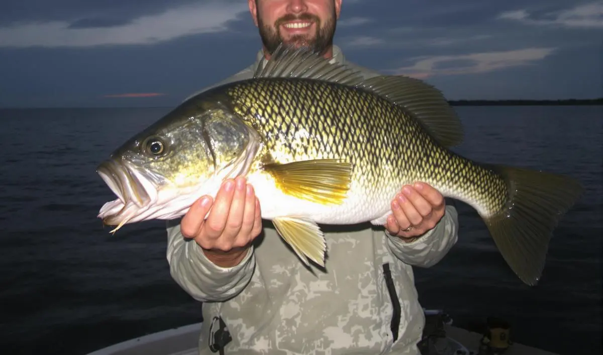 Utilizando as Melhores Carretilhas para a Pesca Noturna