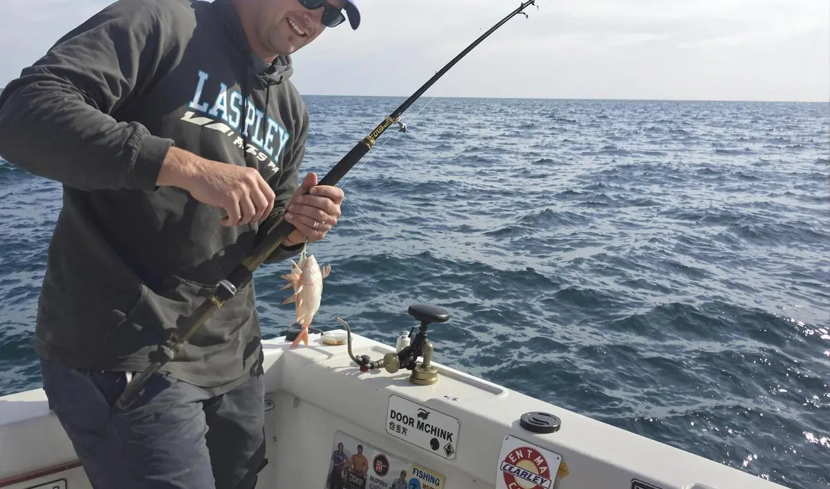 A Arte do Arremesso e a Busca pelo Ponto Certo