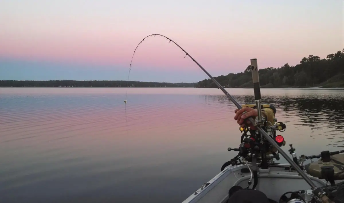 A Fase da Lua e seus Efeitos na Pesca