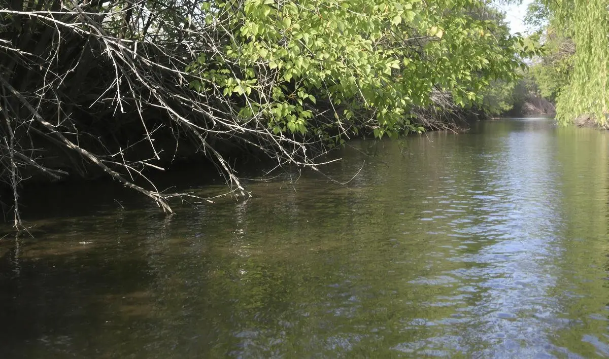 Carretilhas de Alta Performance