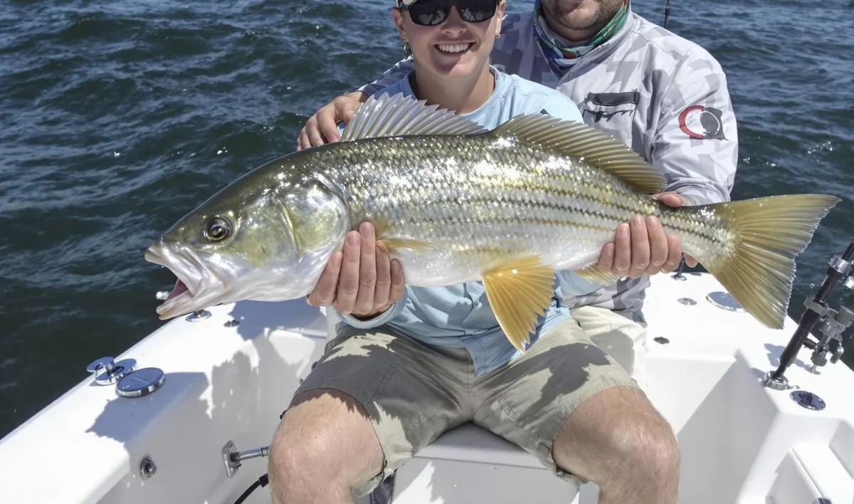 Considerações sobre a Localização Geográfica