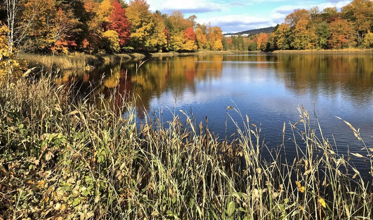 Dicas Adicionais para uma Pesca de Sucesso no Outono