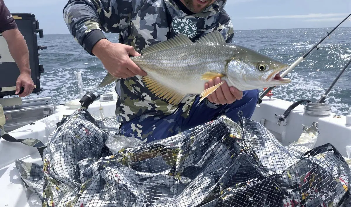 Dicas de Iscas e Arremessos