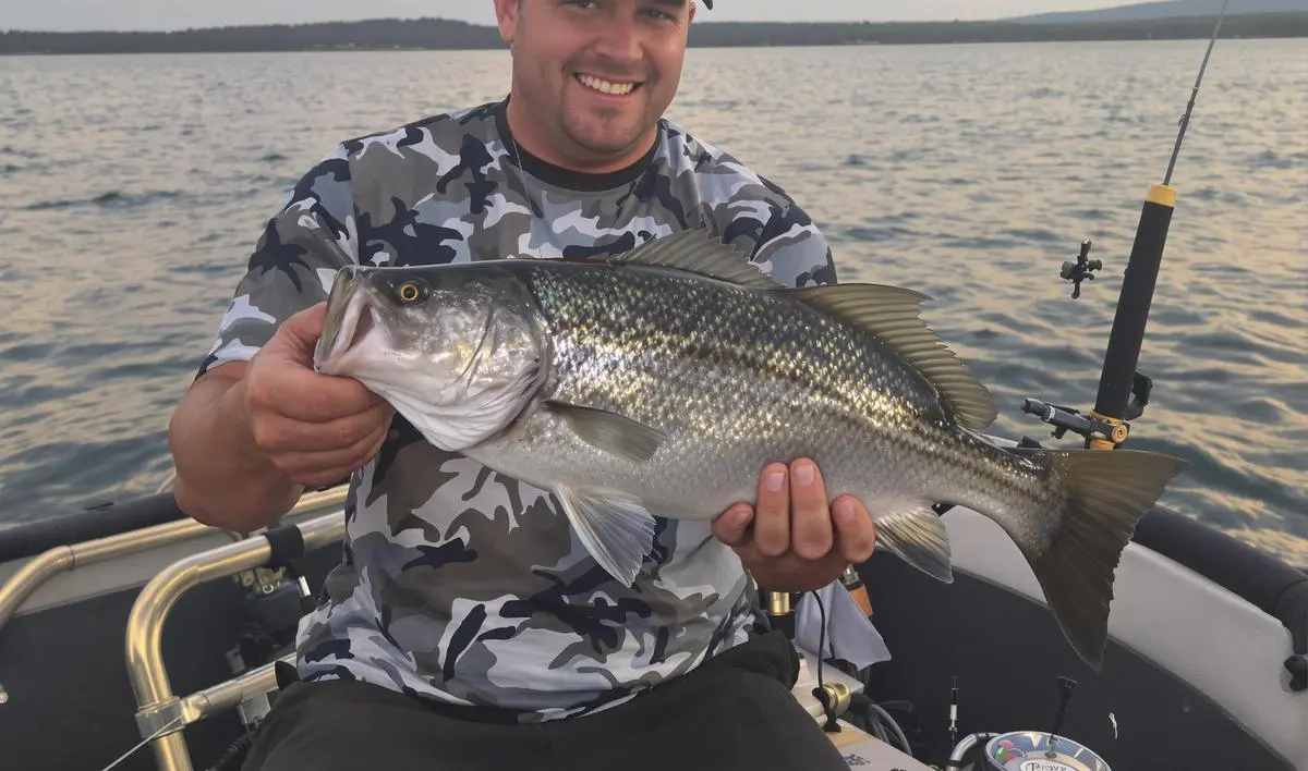 Dicas de Momentos para Pesca de Traíra