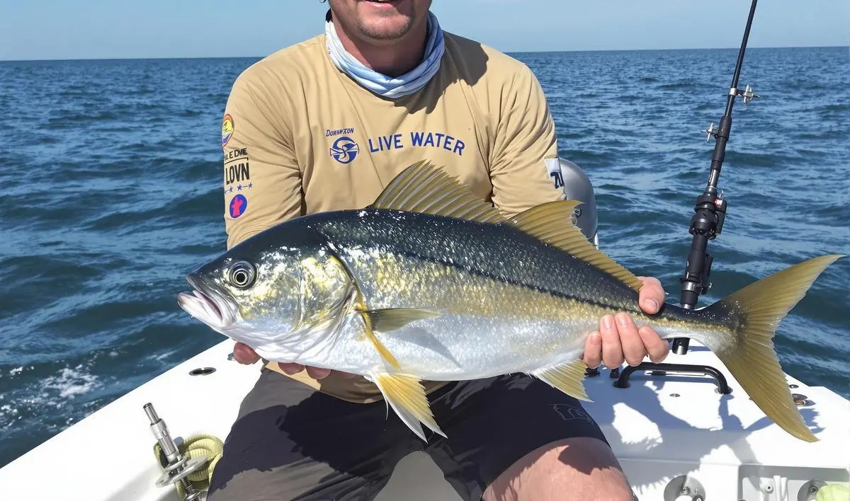 Dicas para o Manejo da Isca Viva