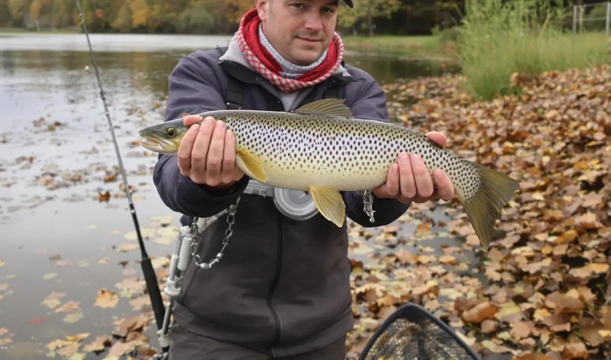 Dicas para pescar no outono