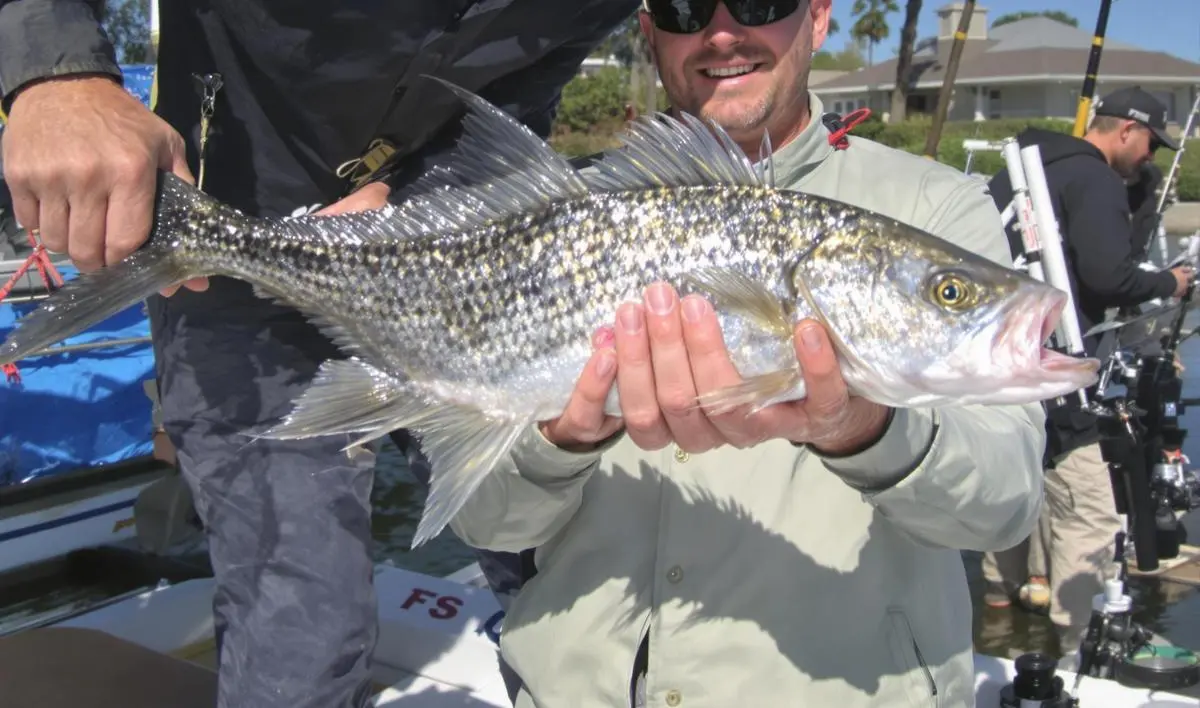 Encontrando os Melhores Pontos de Pesca