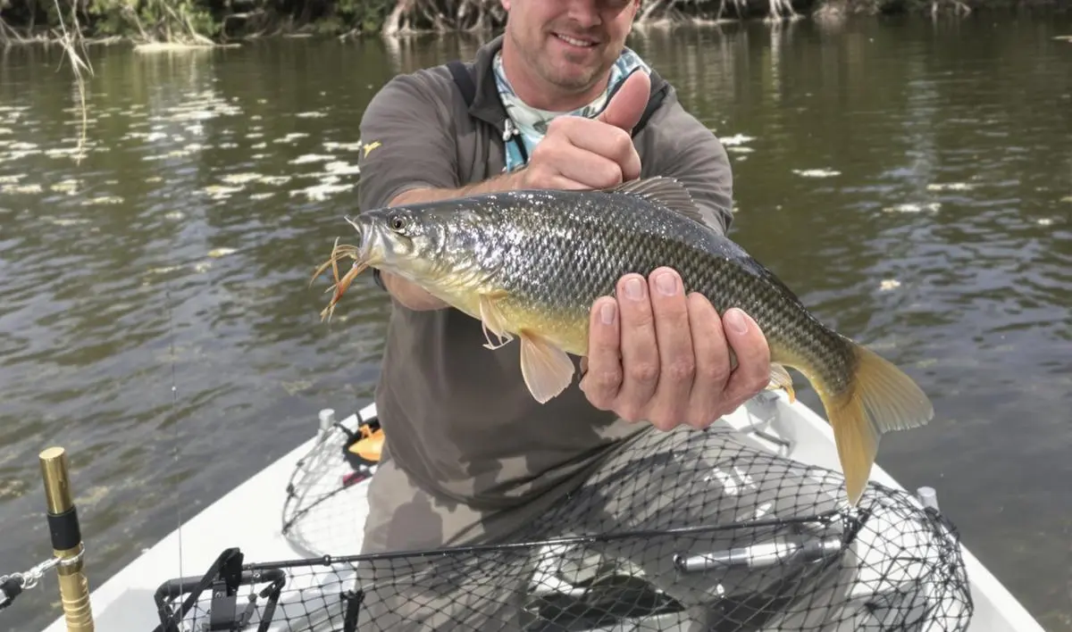 Escolha da Isca Ideal para a Pesca em Canais Artificiais