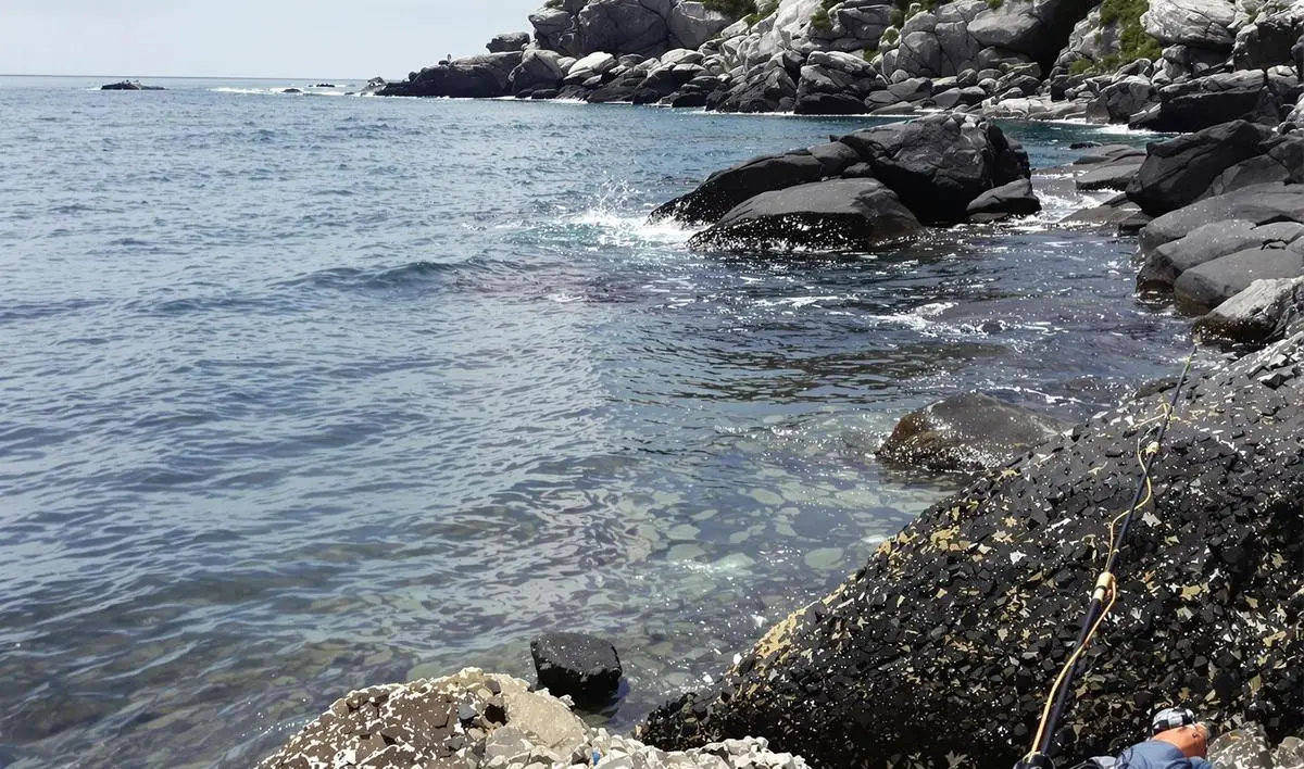 Iscas Adequadas para a Pesca em Pedras