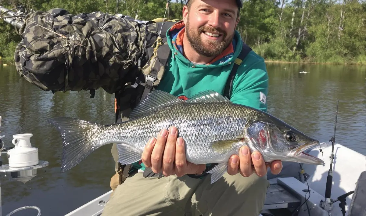 Iscas Artificiais: Versatilidade e Realismo