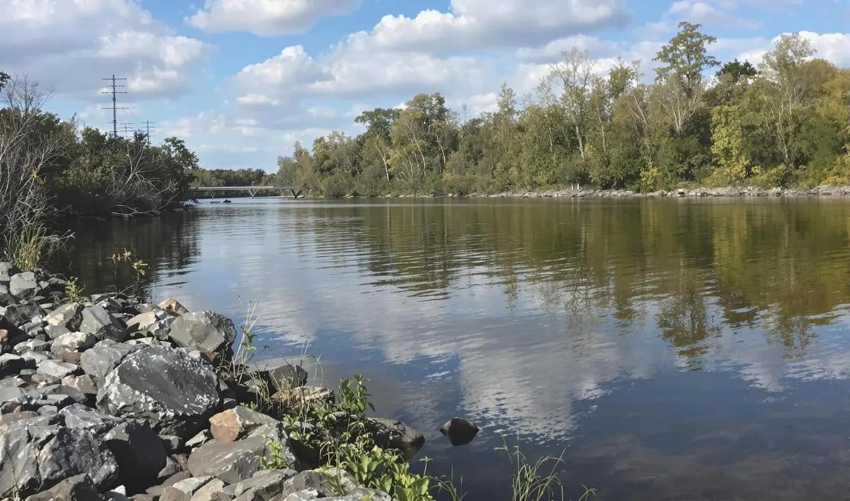 Iscas Ideais para Pesca com Vara Curta em Rios Caudalosos