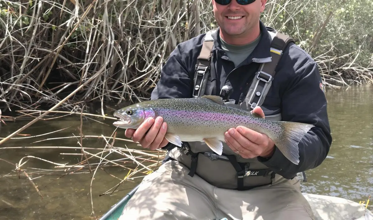 Lidando com os Enroscos na Vegetação