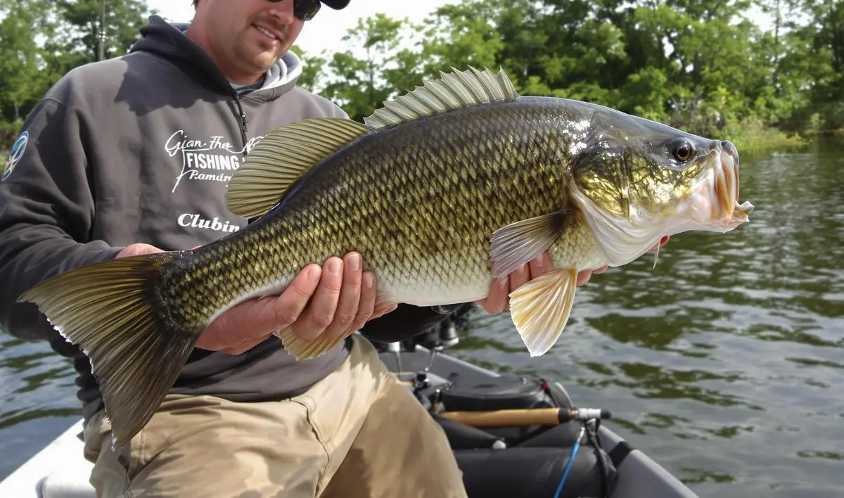 Linhas e Iscas Adequadas para a Pesca de Tucunaré-Açu em Águas Remotas