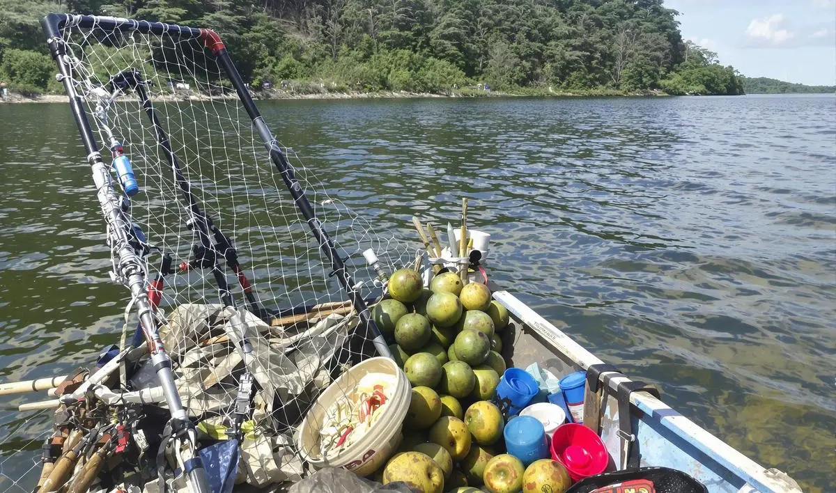 Localização do Tucunaré: Onde Pescar?