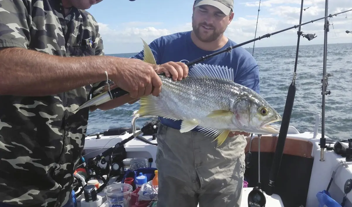 Lutando com o Peixe: Técnicas e Paciência