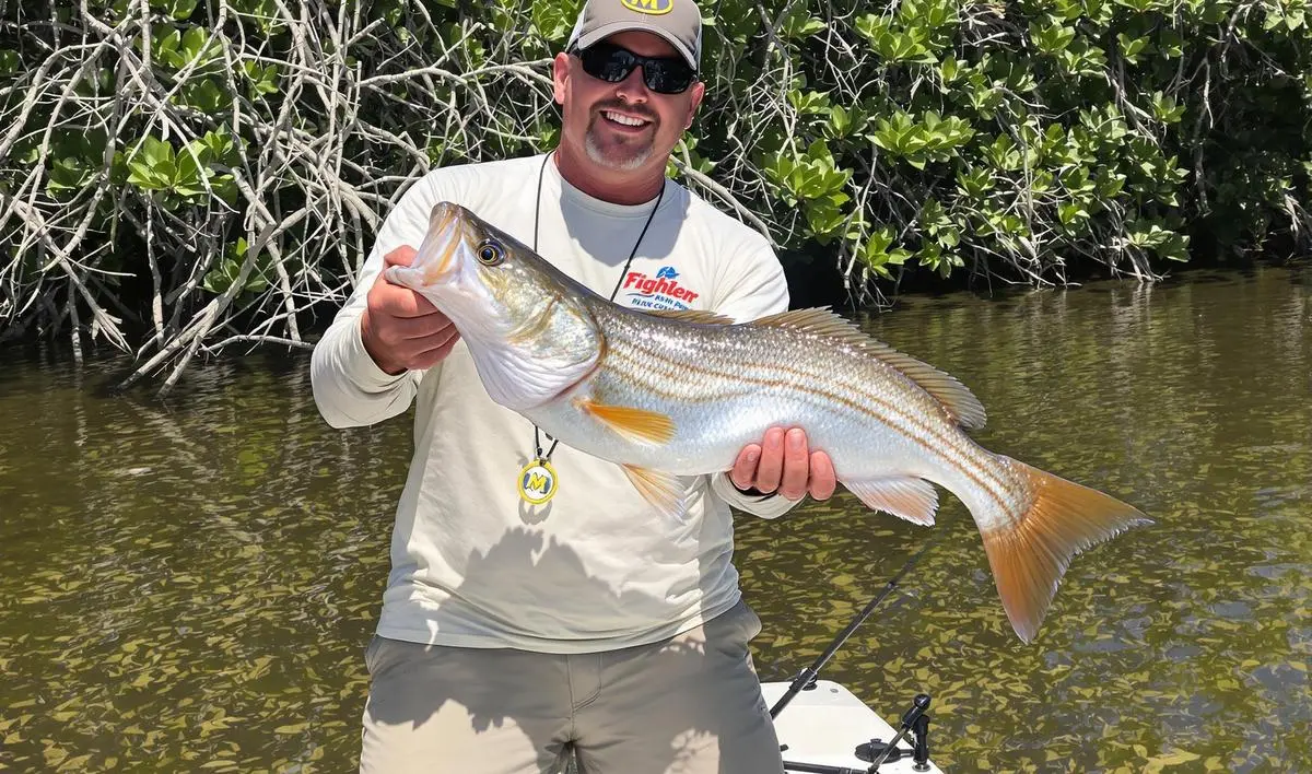 Melhor vara para pesca de robalo no mangue