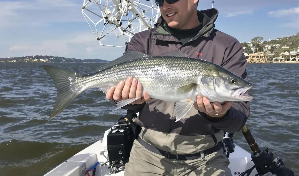 O Papel dos Guias no Arremesso Longo