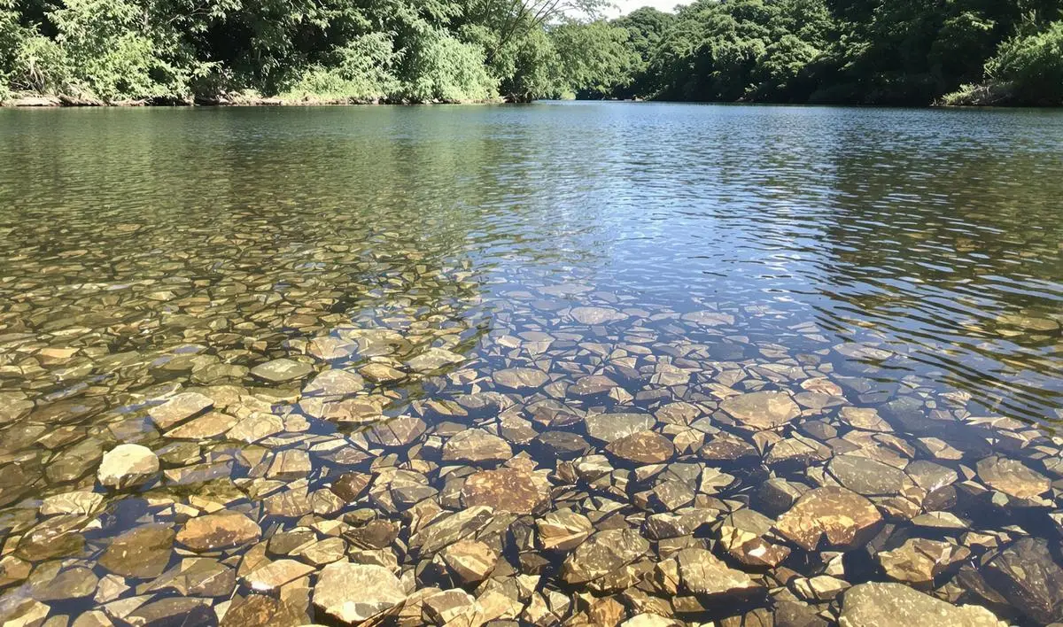 Pesca de piraputanga em rios cristalinos