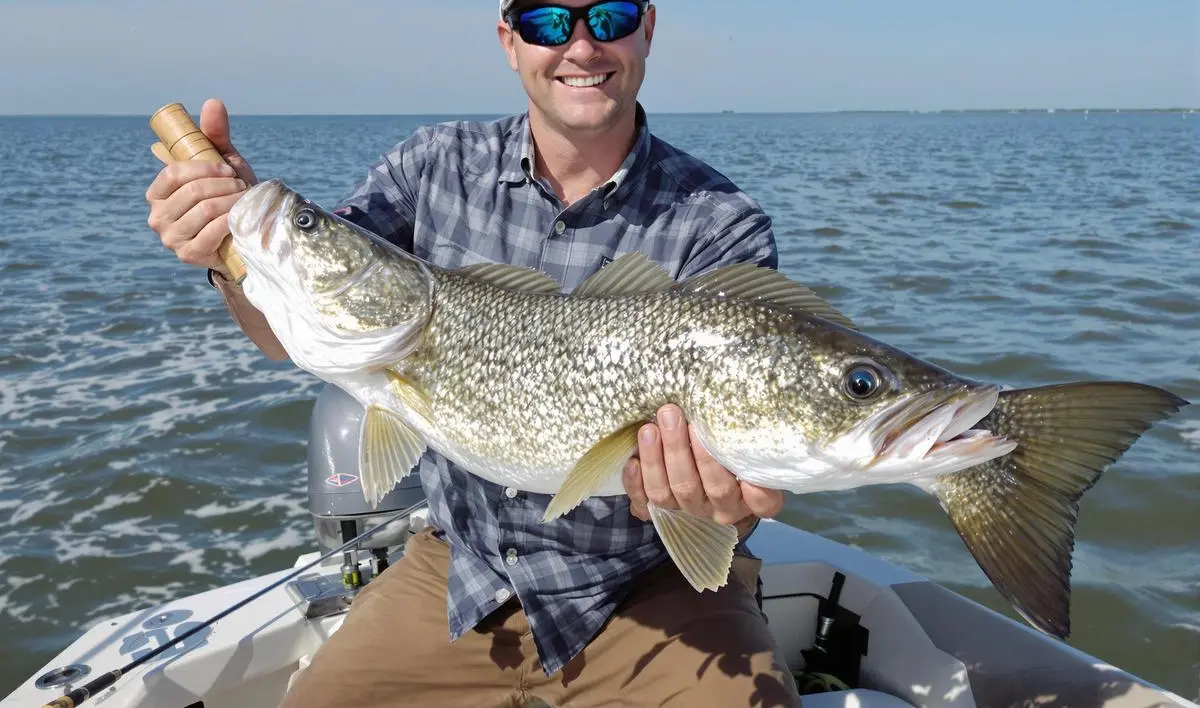 Pesca de robalo com vara de bambu