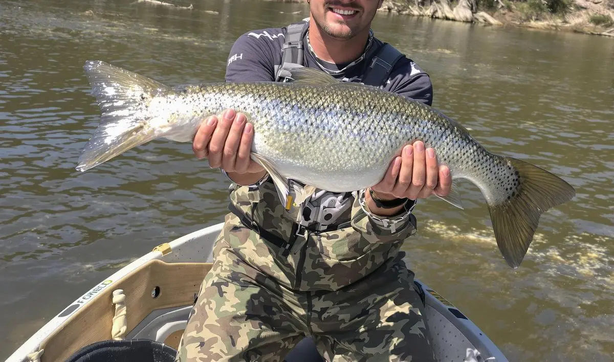Pesca de Tambaqui à Correnteza