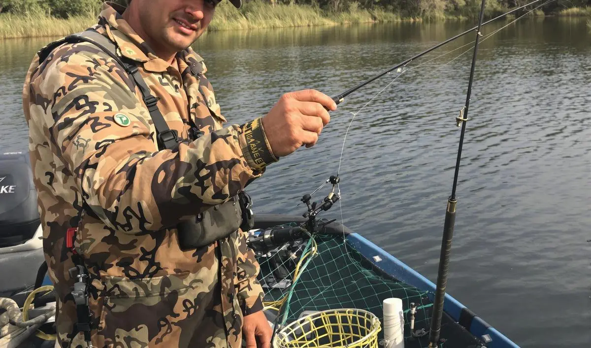 Pesca de tucunaré: dicas e técnicas