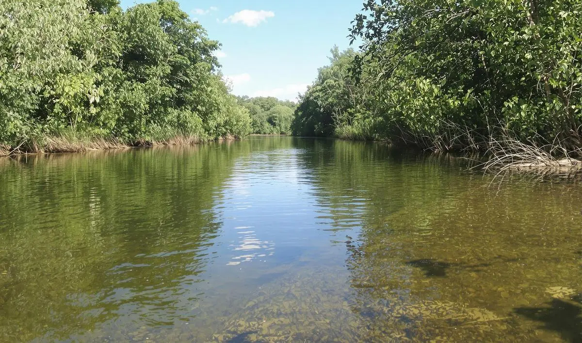 Técnicas avançadas para pesca de traíra em rios com vegetação alta