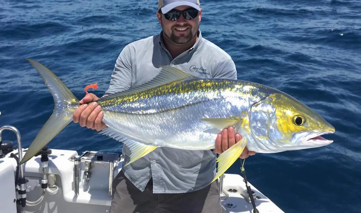 Técnicas de Arremesso e Recupera na Pesca Profunda