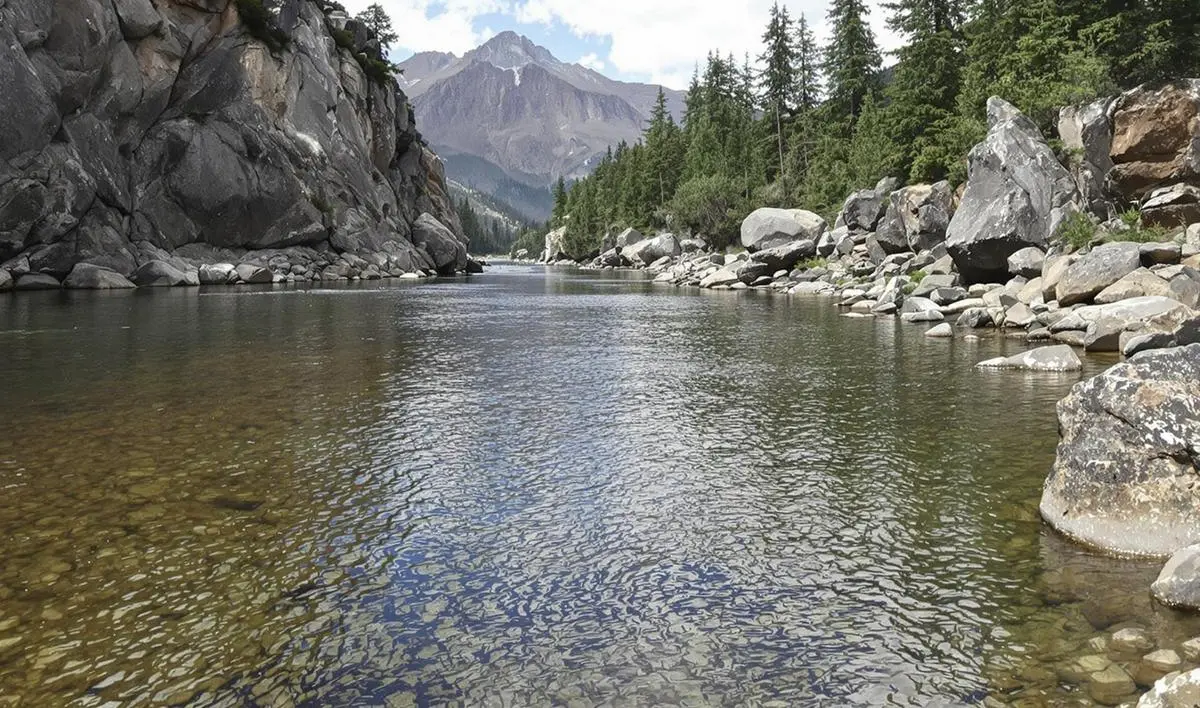 Técnicas de Arremesso para Minimizar Enroscos