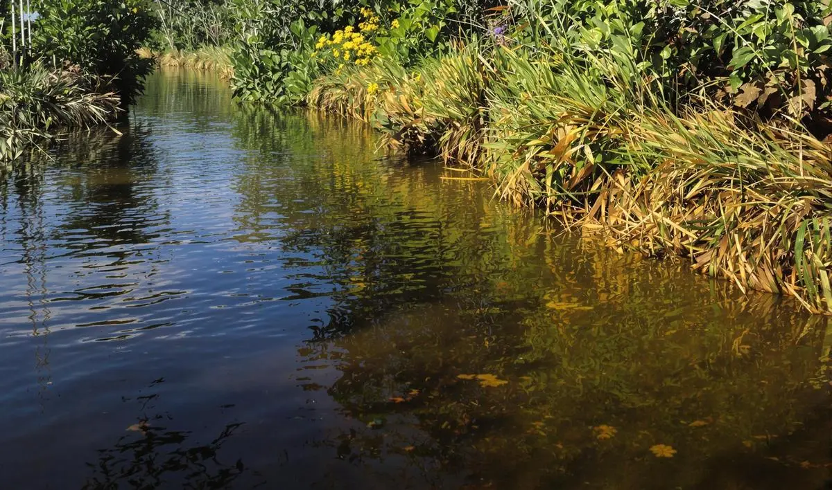 Técnicas de pesca em canais artificiais