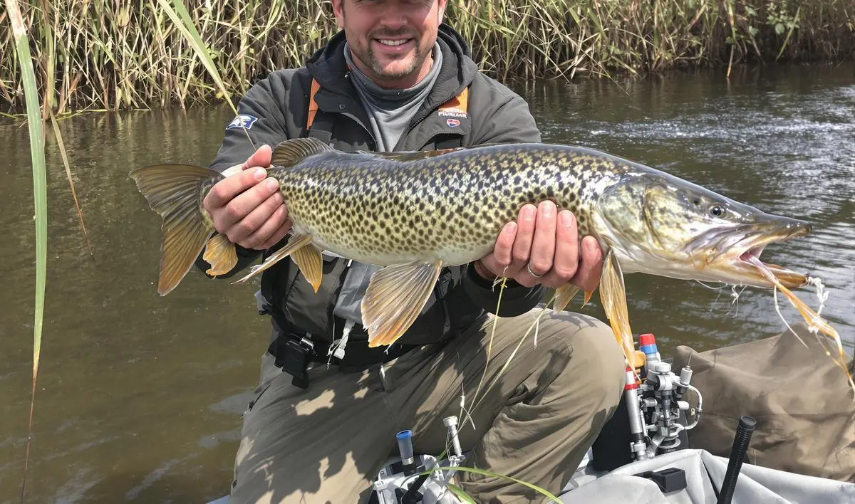 Tipos de Iscas Ideais para Traíras em Áreas de Vegetação