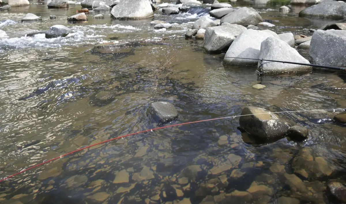 Tipos de Linhas para Rios Pedregosos